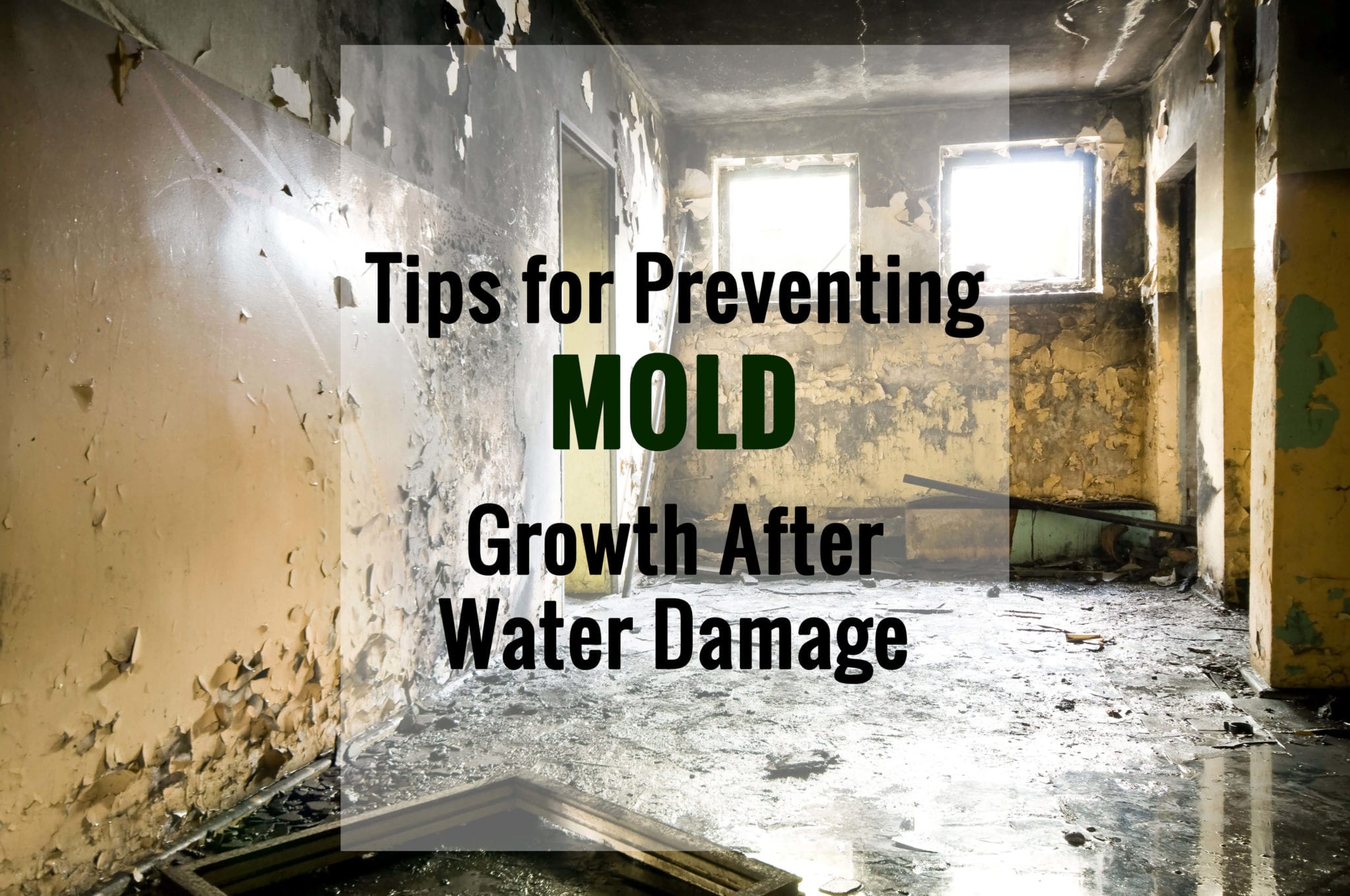 Tips For Preventing Mold Growth | Woodard