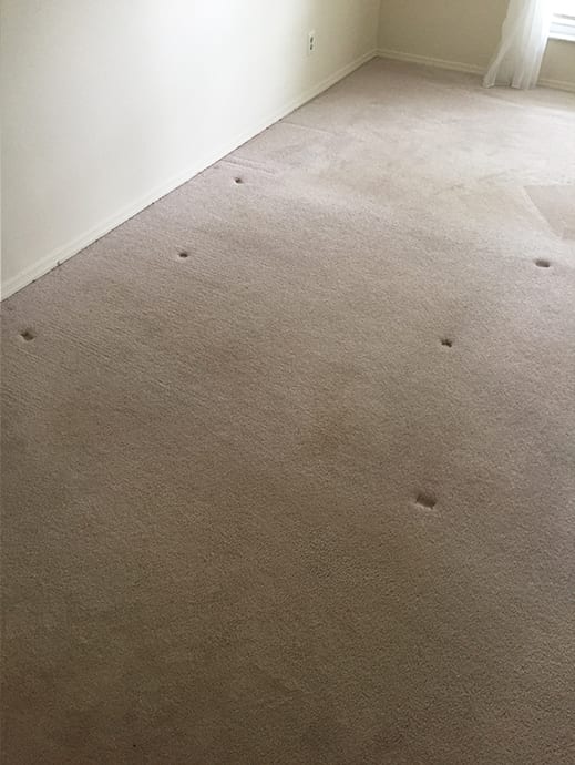 cleaned carpet stains removed