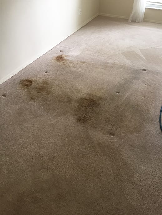 dirty carpet stains
