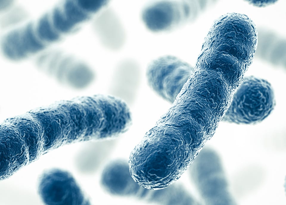 coronavirus cleaning service