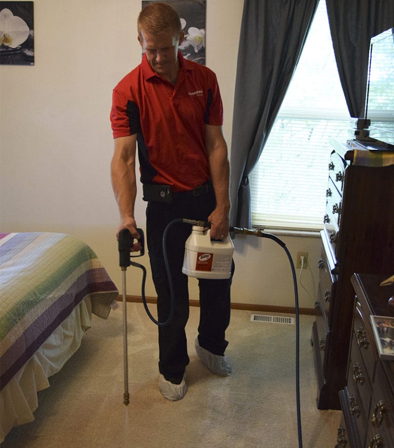 How to Clean Carpets Woodard's Carpet Cleaning Process