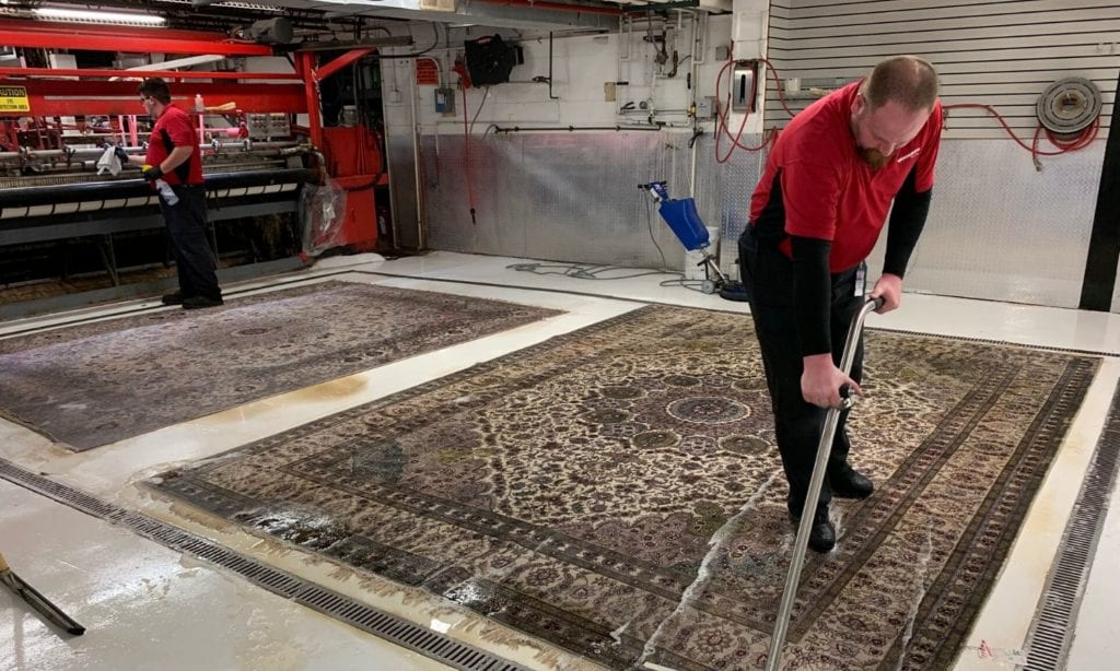 area rug cleaning