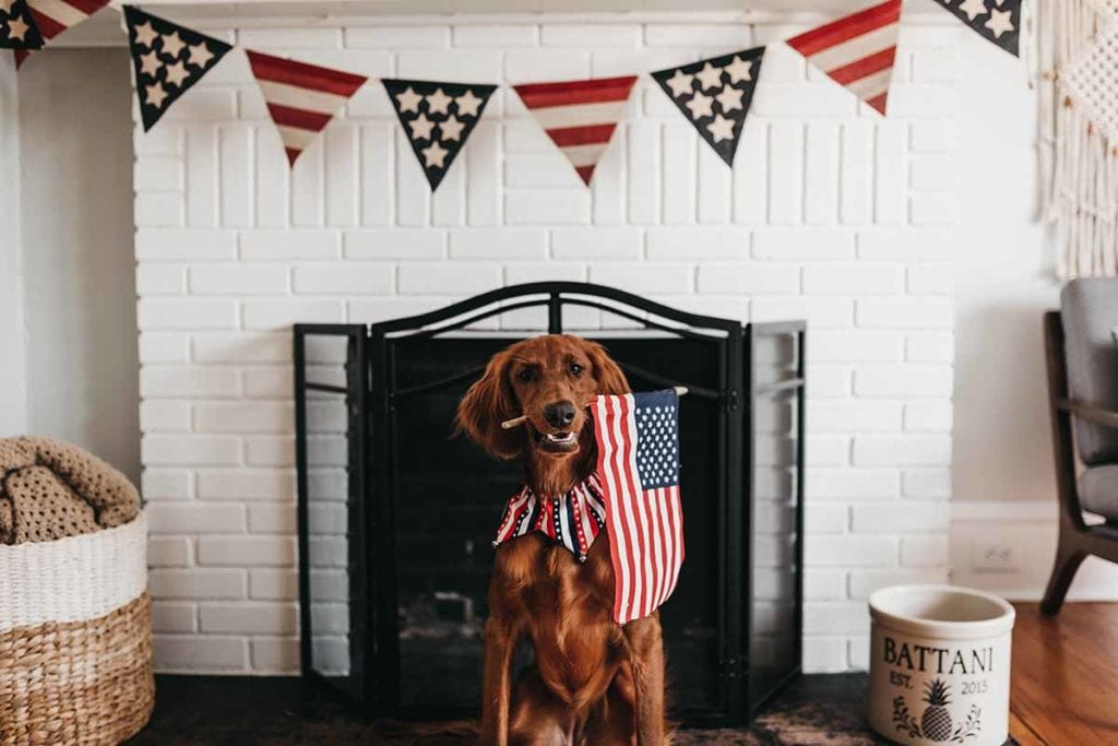pet safety 4th of July