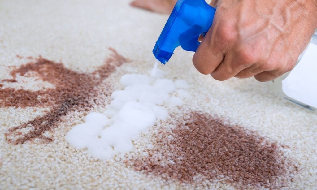 How to remove stains from carpet