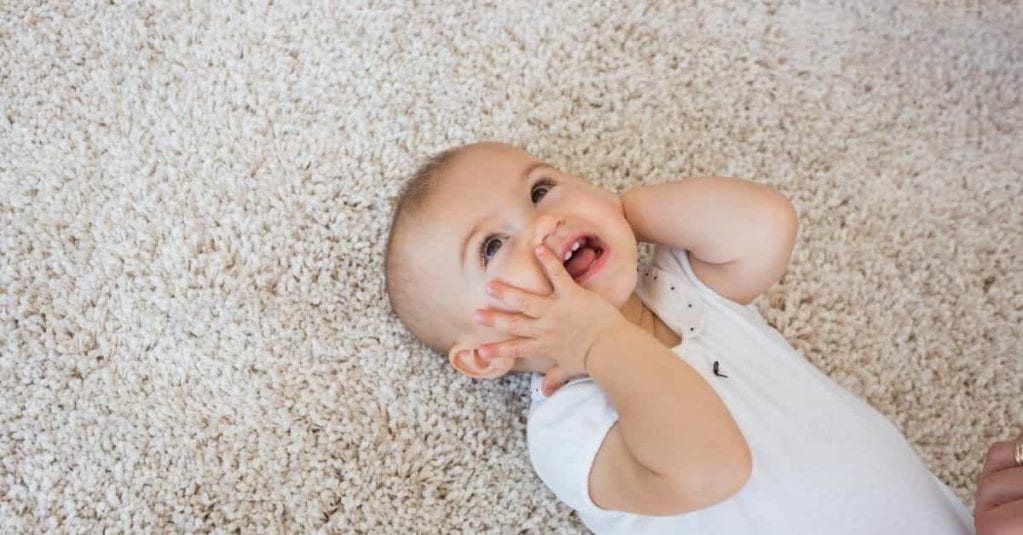 How to Keep Your Carpets Fresh and Clean 5 Tips Woodard