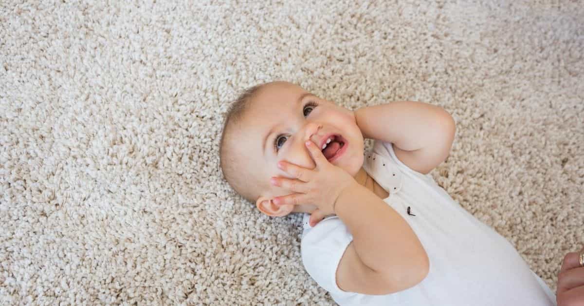 How to Keep Your Carpets Fresh and Clean