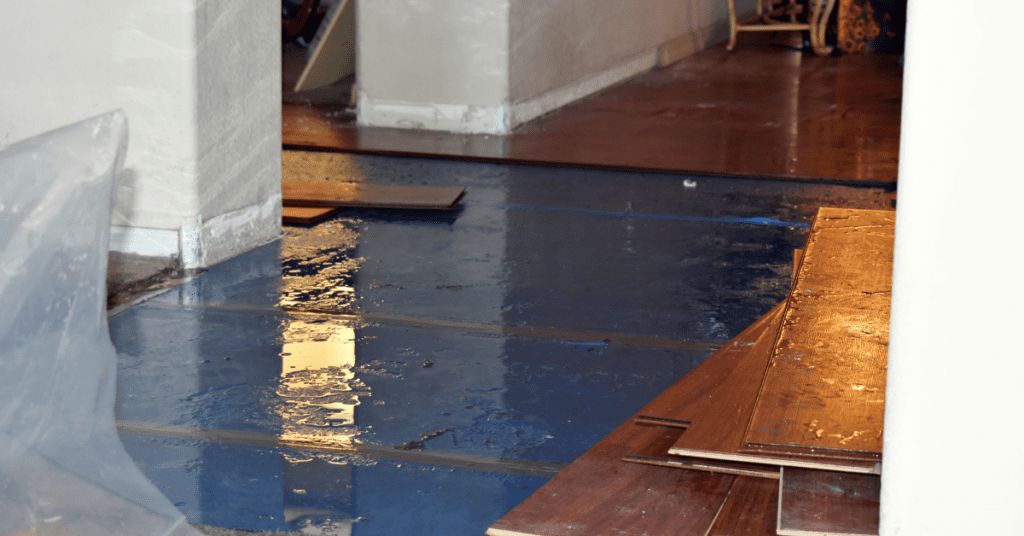 What To Do After Water Damage