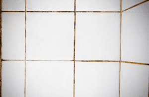 How to Remove Hard Water Stains from Tile and Grout | Woodard