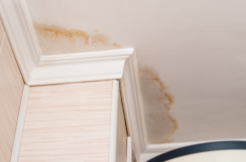 early signs of water damage