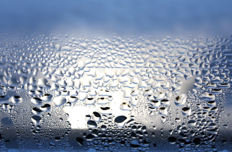 How to Remove Humidity from Your Home Woodard