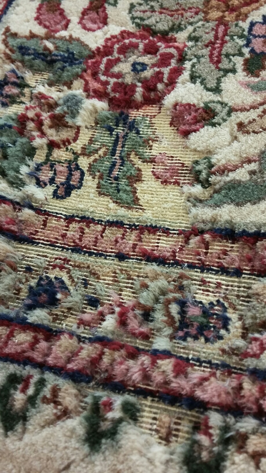 moth damaged rug before