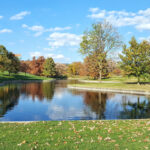 Pond at the Gateway Arch with Reflections of the trees in early fall